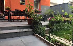 Vip 67